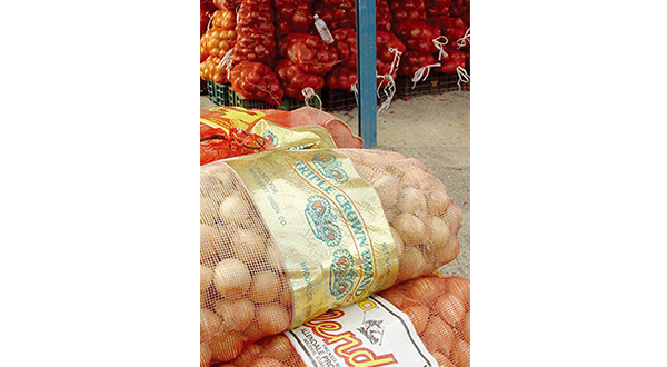 Onion bag